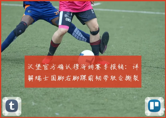 汉堡官方确认穆海姆赛季报销：详解瑞士国脚右脚踝前韧带联合撕裂伤情，对球队攻防体系的影响及康复时间预估