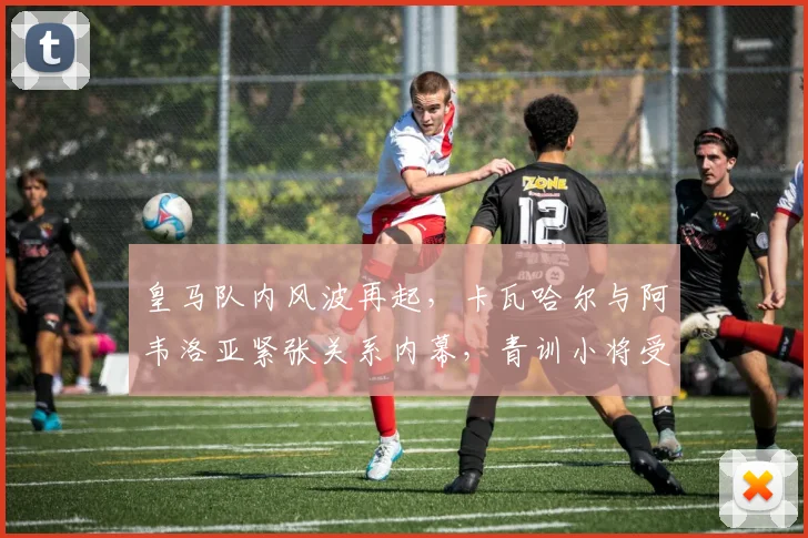 皇马队内风波再起，卡瓦哈尔与阿韦洛亚紧张关系内幕，青训小将受伤事件引关注